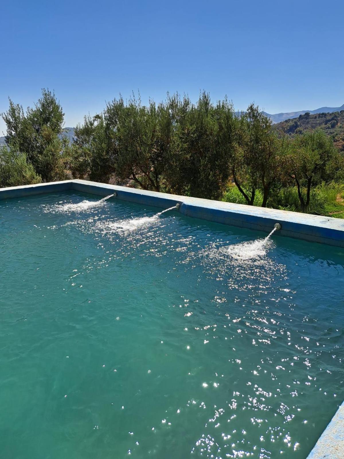 Holiday home Lux Casita Almendral